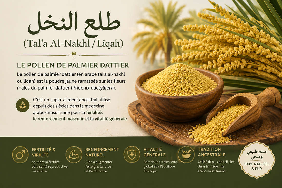 Pollen de Palmier Dattier : Bienfaits, Fertilité et Posologie du Super-Aliment