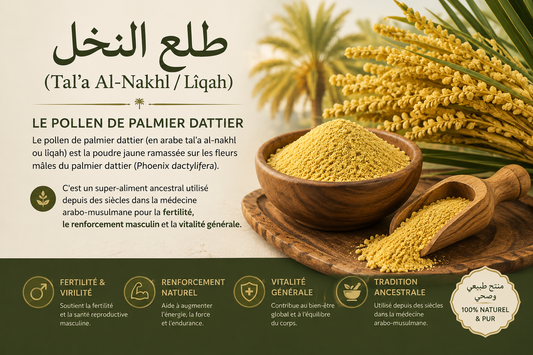 Pollen de Palmier Dattier : Bienfaits, Fertilité et Posologie du Super-Aliment