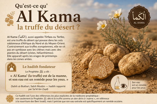 Al Kama : L'Eau de Truffe du Désert (Tirfass), le Remède Prophétique pour les Yeux