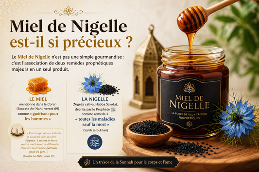 Miel de Nigelle (Habba Sawda) : Le Trésor Prophétique pour l'Immunité au Quotidien