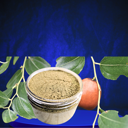 POUDRE DE JUJUBIER PURE - SIDR -