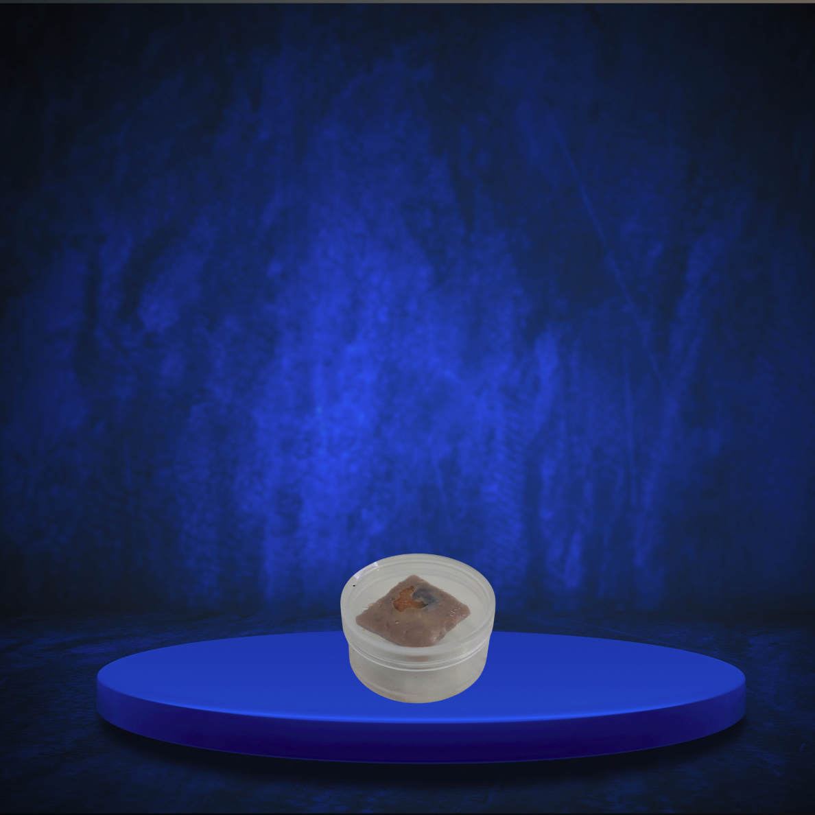 HILTITE - ASAFOETIDA - 15 GR PUR AVEC ODEUR TRES PUISSANTE - 5 boites -